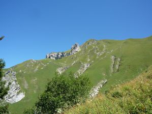 P1040961