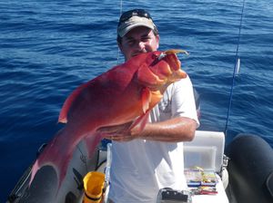rouge 5 kg 15 07