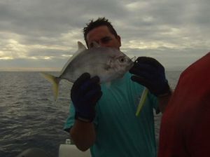 petite-carangue-09_05.JPG