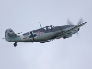 IMGP5068