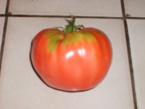 tomate 1