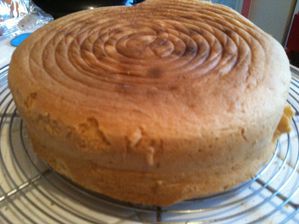 Gateaux chats 1124