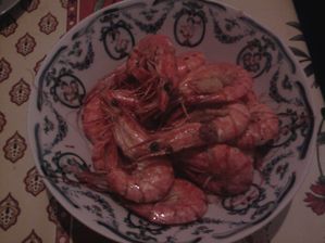 Photo0100.jpg
