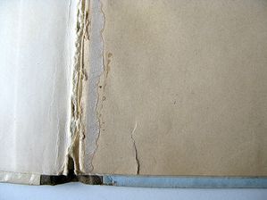 WEB-IMG_0946.jpg