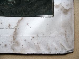 WEB-IMG_1182.jpg