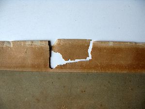 WEB-IMG_1676.jpg