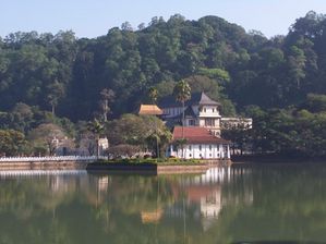 Kandy (16)