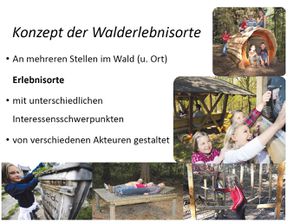 Bild5