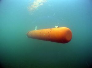 AUV62.jpg