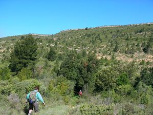 mai14 Albas Roque blanche (9)