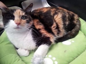 20120505_120117.jpg