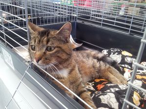 20120505_133033.jpg