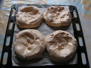 Pavlova-indivuduel--1-.JPG