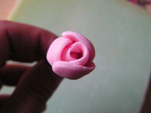 boutons-de-roses--2-.JPG