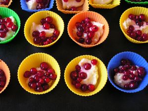 mini-muffins-aux-groseilles--6-.JPG