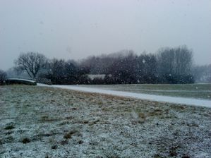 DSC03639.JPG