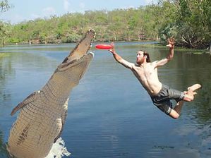 Yohan-lecomte-frisbee.jpg