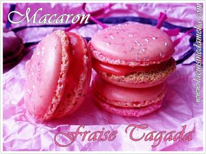 macarons fraises tagada