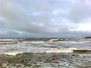 Photo0051