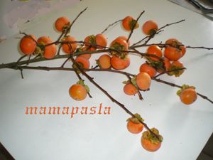 kakis
