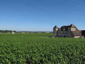 nuits-saint-georges 0695