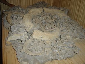 cimitiere-en-cours-de-preparation.JPG