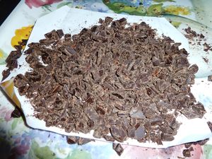 brownie-demence--3-.JPG