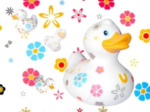 canard 1