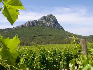 vin6pic-st-loup