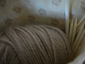 Verveine-001.JPG