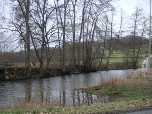 DSC07146.JPG
