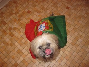 anjie-drapeau-portugal.jpg