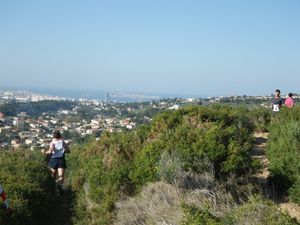 Image_043.JPG