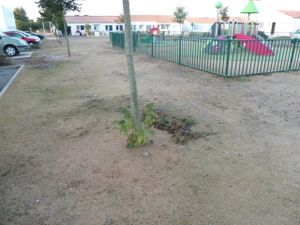 2012 09 018