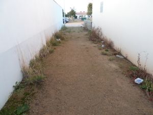 2012 09 25 jpg