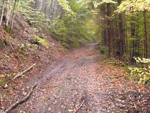 20121027-GB-POWER---3---Copier-.JPG