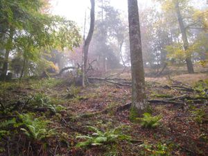 20121027-GB-POWER---4---Copier-.JPG