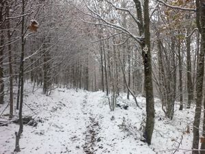 20121027-GB-POWER---62---Copier-.jpg