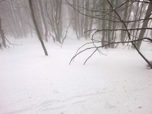 20130330--15-.jpg