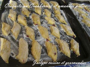 Croquets aux cranberries et amandes pilées Jaclyne cuisine et gourmandise