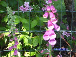 BILD2951