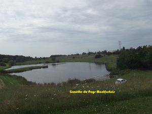 DSCF0745.JPG