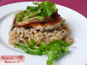 barroquetterisottocerleriravechampitruffe2.jpg
