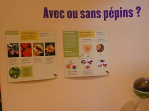epicuriumlegumespepins.JPG