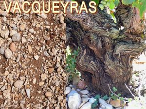 terroirvacqueyras.jpg