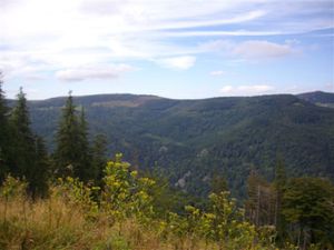 Du-Schnepfenried-2.JPG