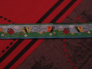 Bande-coccinelle.JPG