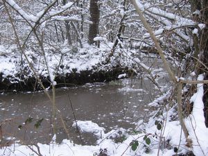 Neige-023.JPG