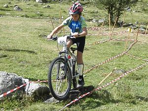 lac-d-oo-2010-102.jpg