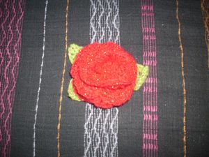 DSCI0001-copie-4.JPG